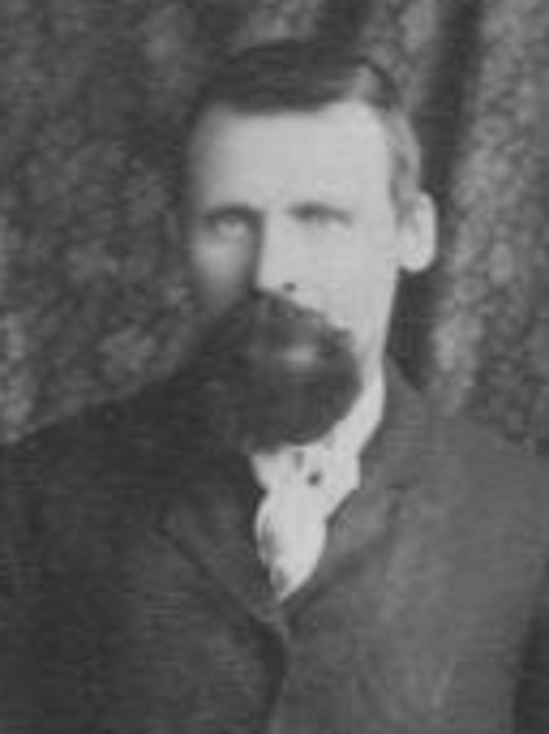 Niels Peter Hansen (1850 - 1932) Profile